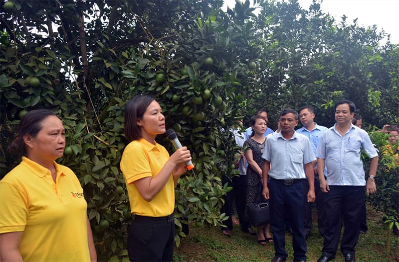 Thúc đẩy sản xuất, sử dụng và nâng cao chất lượng phân bón hữu cơ