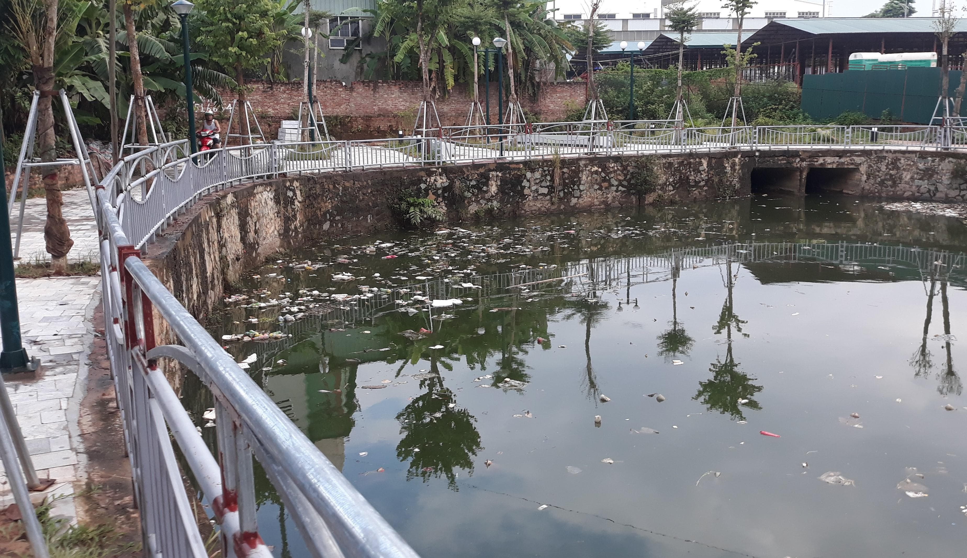 Sớm giải quyết tình trạng ô nhiễm hồ nước