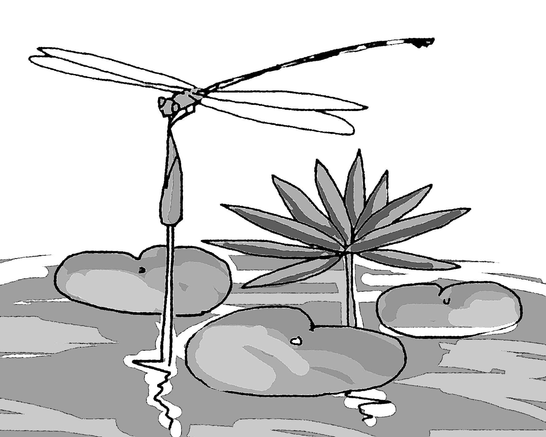Các loài hoa