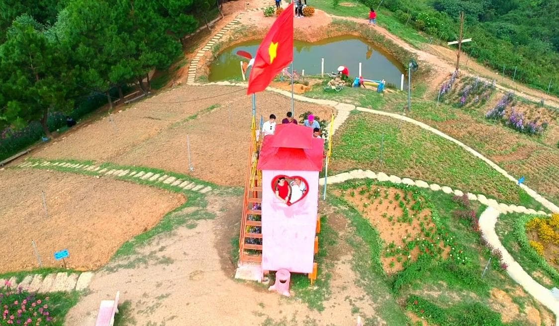 Ngàn hoa trên đỉnh đèo Pha Đin