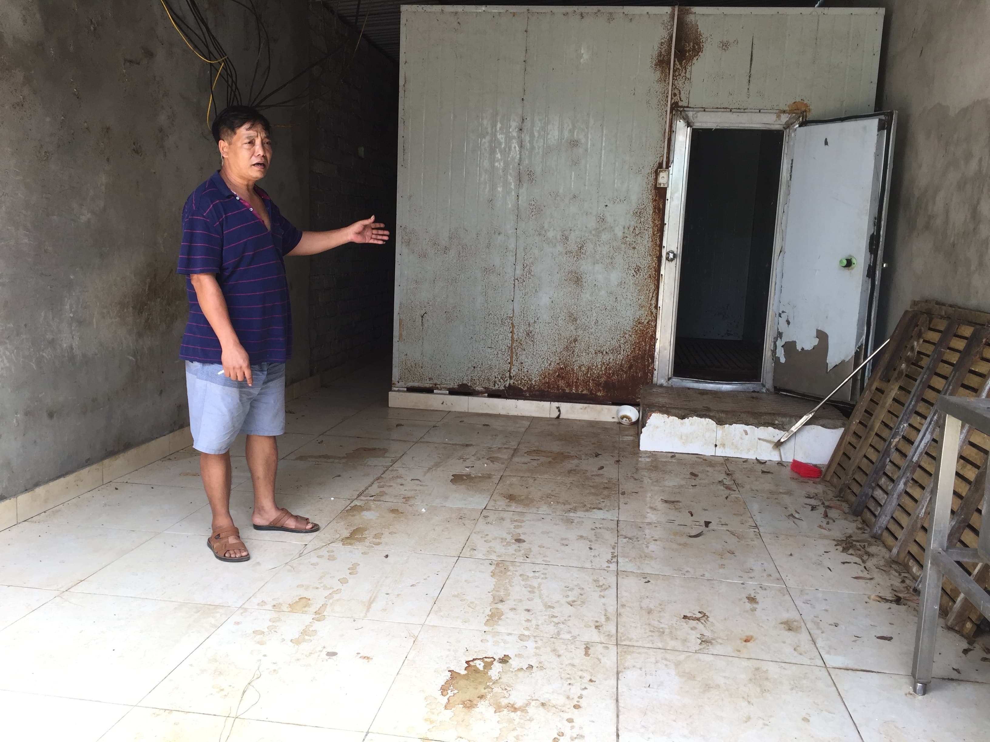 Thông tin từ đường dây nóng