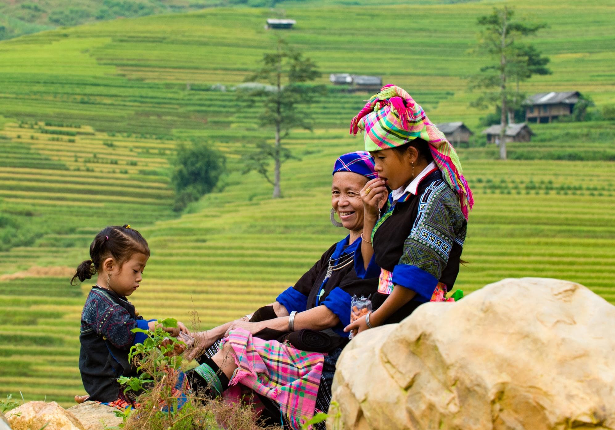 Quyến rũ mùa vàng Mù Cang Chải