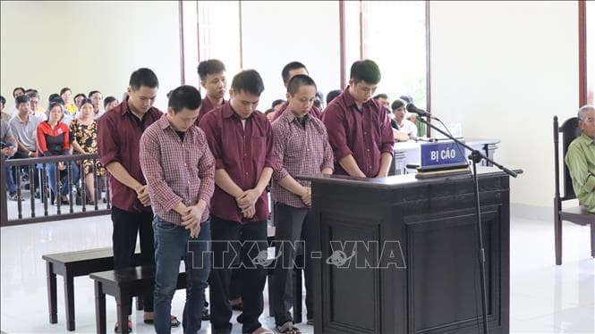 Bình Phước: Xét xử 7 bị cáo trong vụ giết người vay nợ