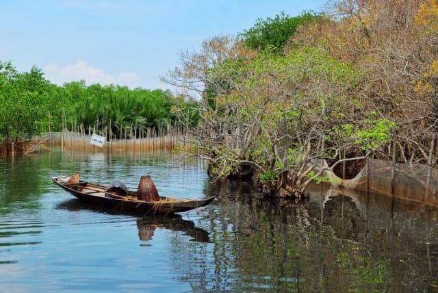 Phát động cuộc thi vẽ "Rừng ngập mặn bảo vệ cuộc sống, giảm thiểu tác động của biến đổi khí hậu"