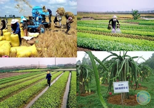 Vốn ngân hàng góp phần xây dựng nông thôn mới