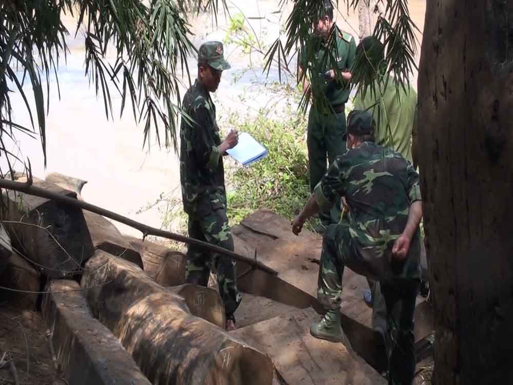 Phát hiện và thu giữ hơn 5 khối gỗ vô chủ