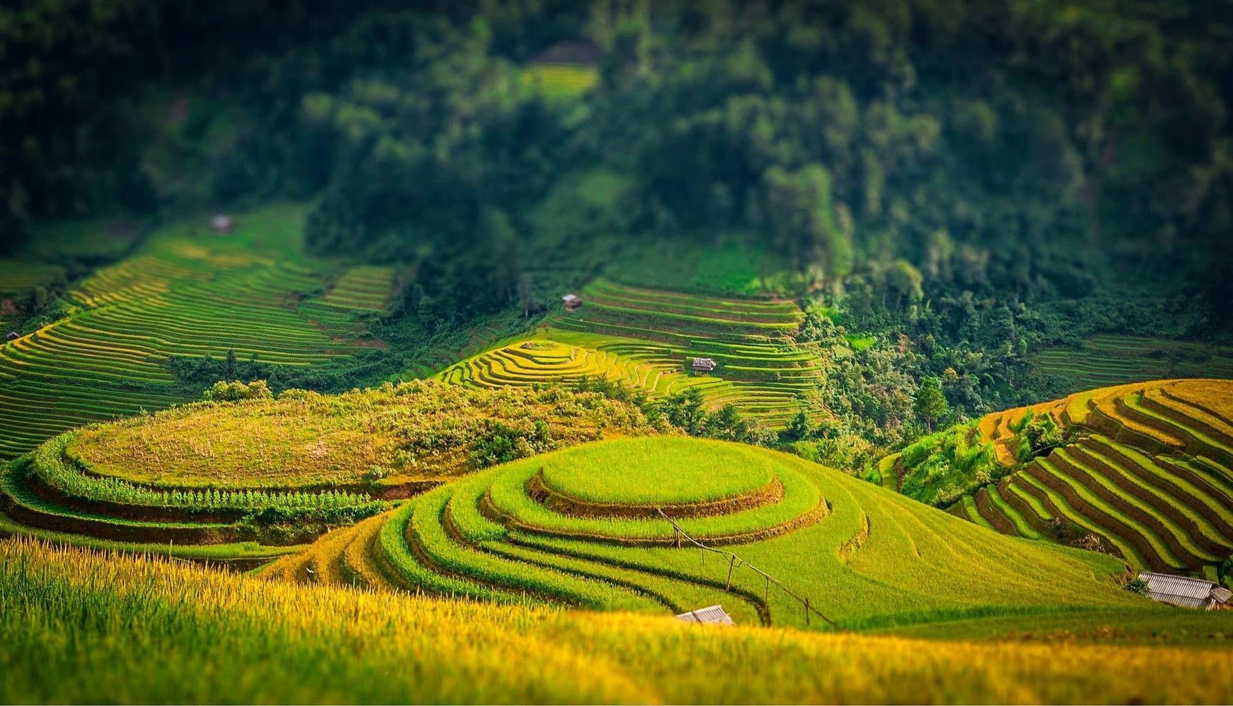 Phát triển nông nghiệp theo hướng an toàn, bảo đảm nguồn thực phẩm sạch cho người tiêu dùng