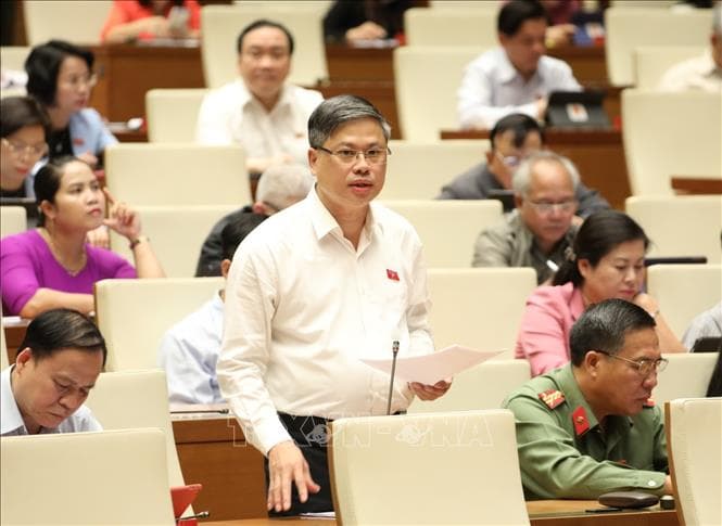 Cần phân loại người tài theo từng lĩnh vực cụ thể