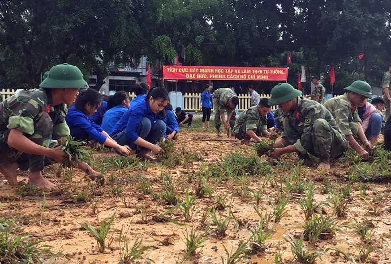 Trung đoàn 335 cử 250 cán bộ, chiến sĩ tham gia xây dựng nông thôn mới