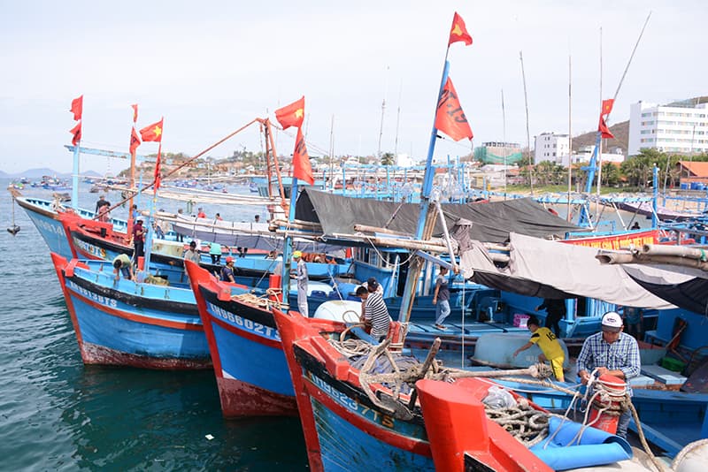 Di dời gần 16 nghìn người dân về nơi trú bão an toàn