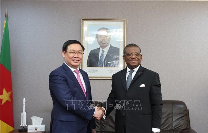 Phó thủ tướng Vương Đình Huệ thăm và làm việc tại Cameroon