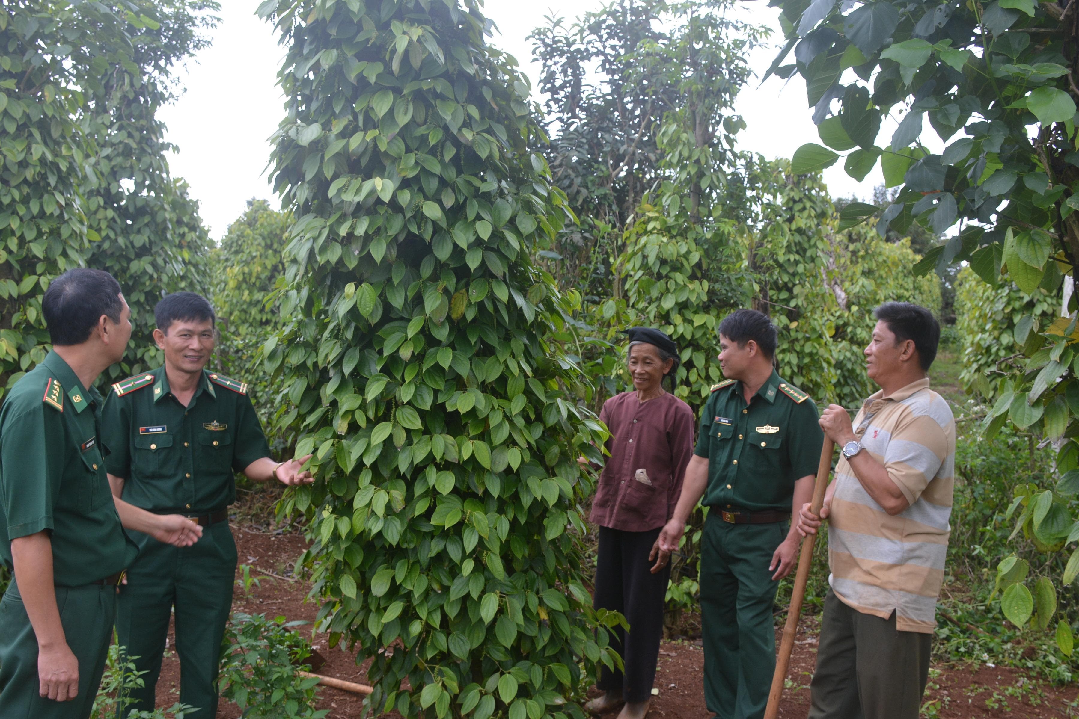 Bộ đội Biên phòng và vai trò nòng cốt trong củng cố tổ chức cơ sở đảng vùng biên giới