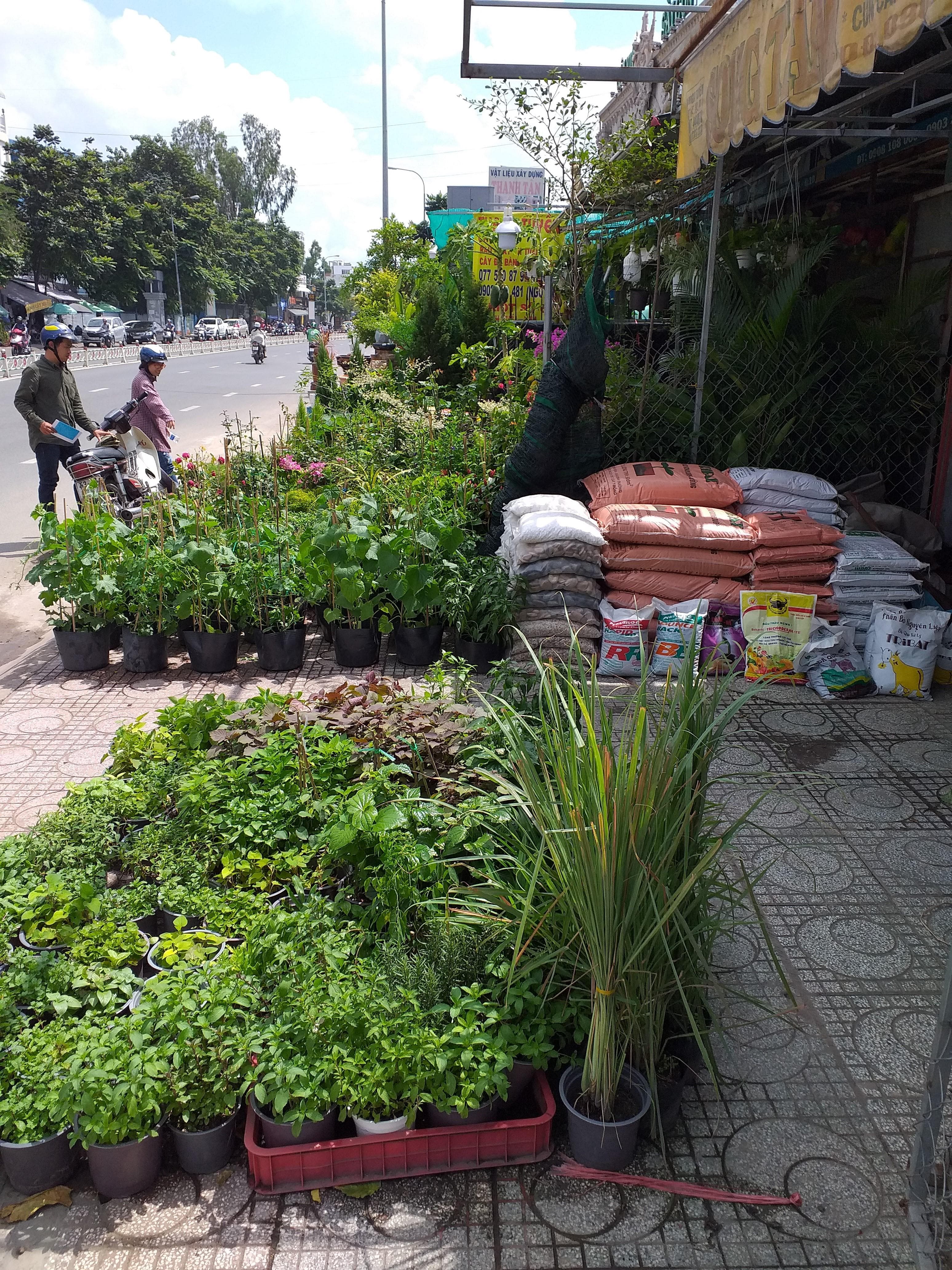 Kinh doanh chiếm dụng vỉa hè