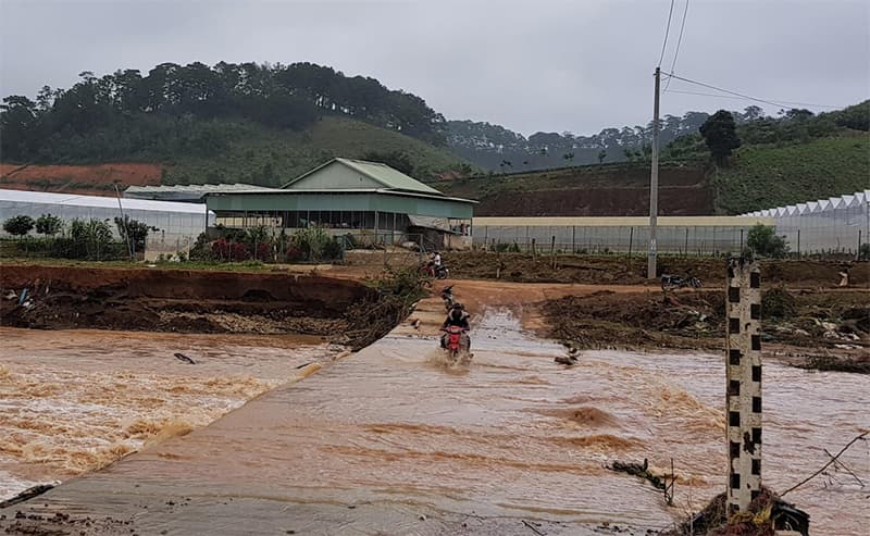 Lâm Đồng: Một người bị lũ cuốn mất tích