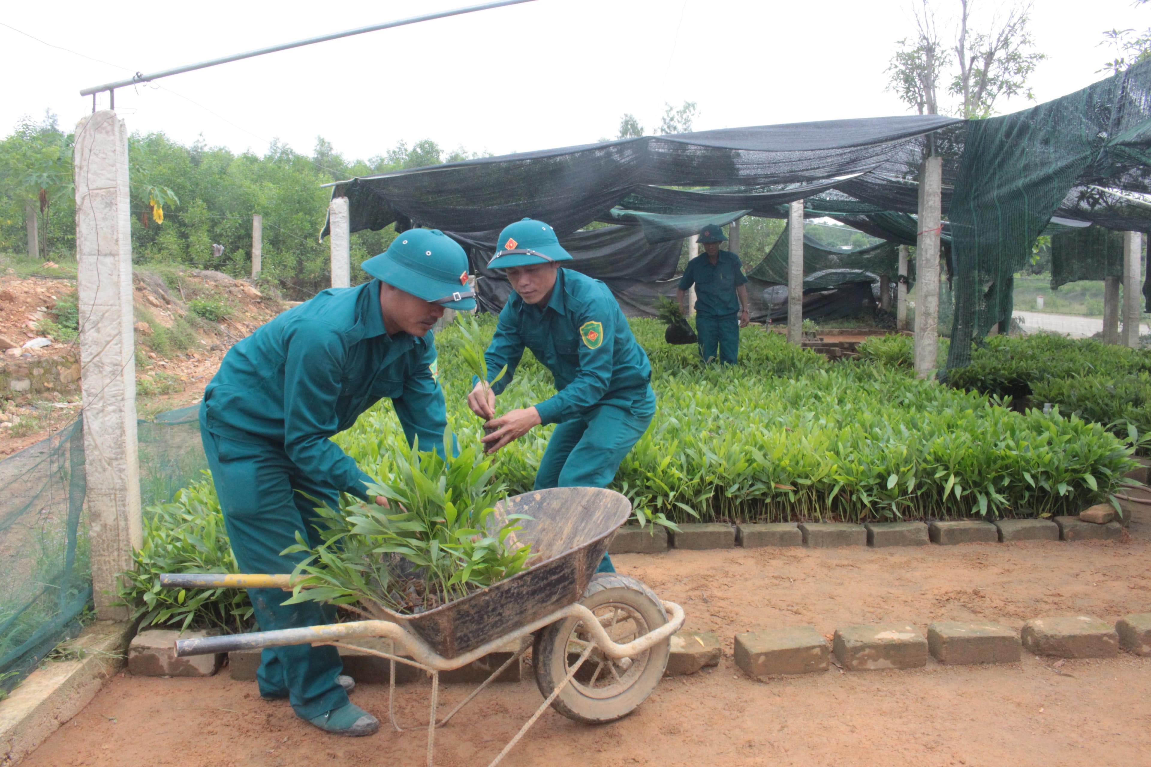 “Sao vuông” Cẩm Mỹ xung kích xóa nghèo