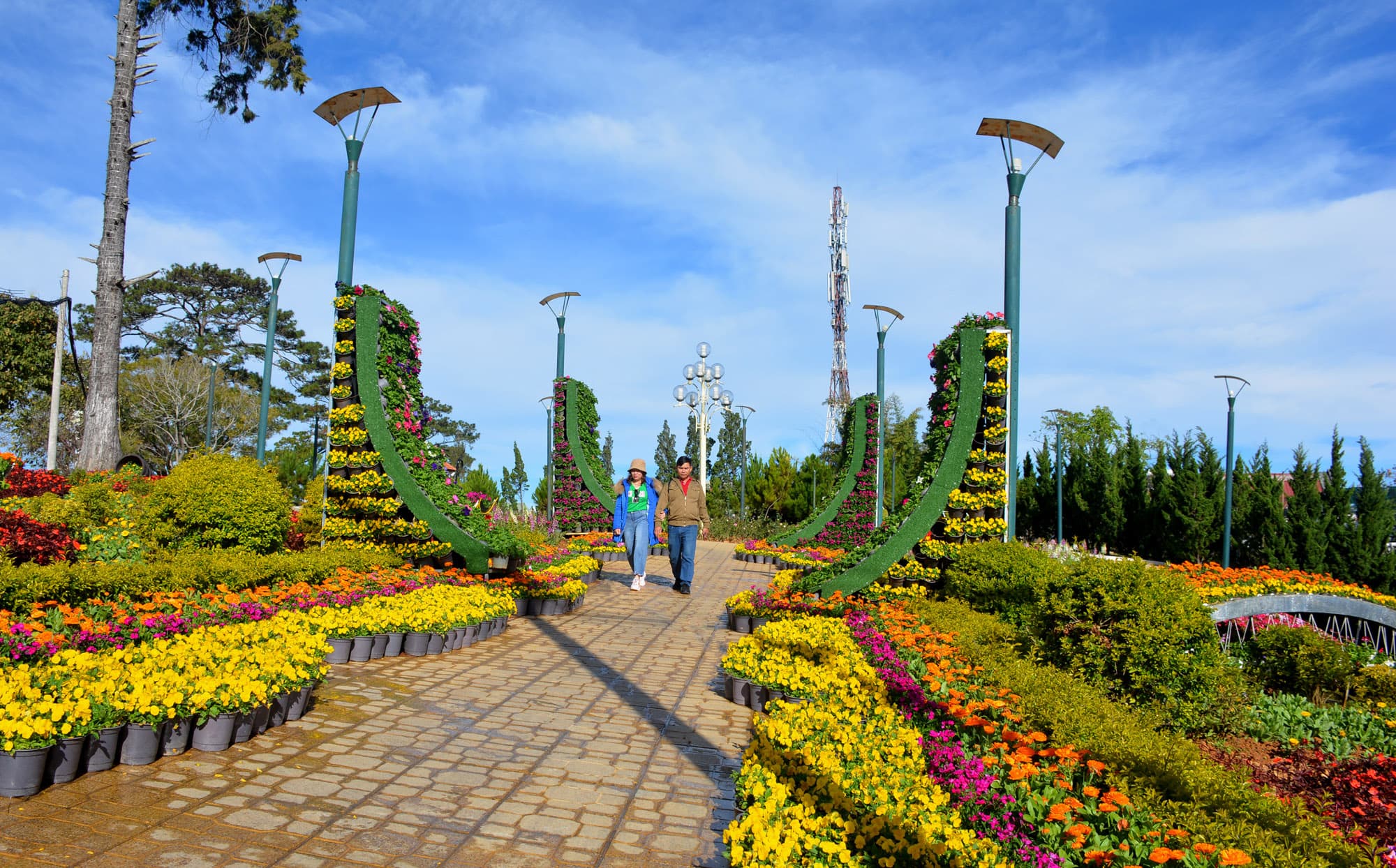 Sắc màu rực rỡ trước giờ khai hội Festival hoa Đà Lạt