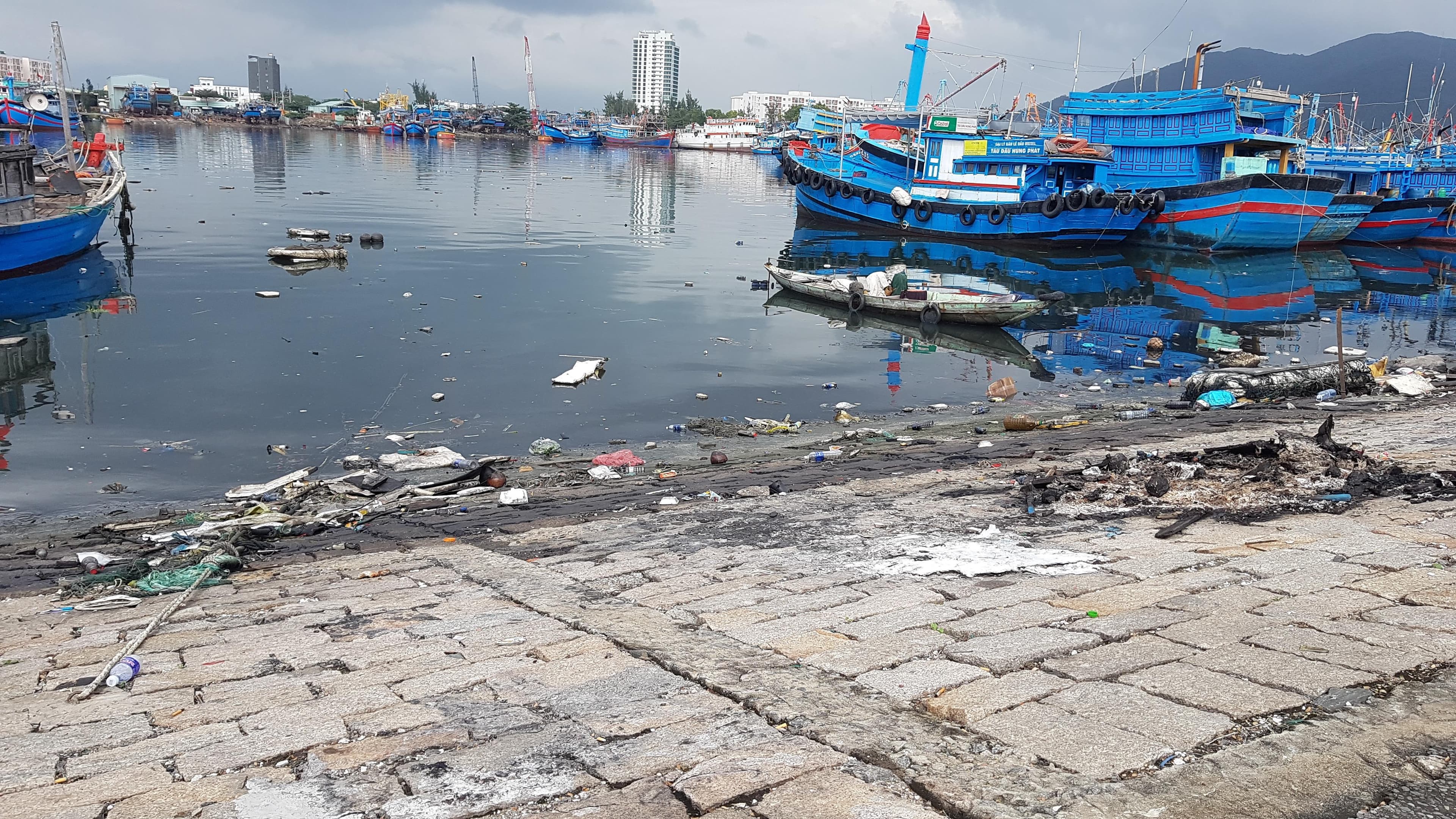Nhếch nhác âu thuyền và cảng cá Thọ Quang