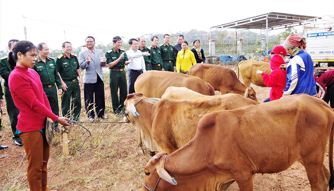 Nỗ lực giúp đồng bào no ấm