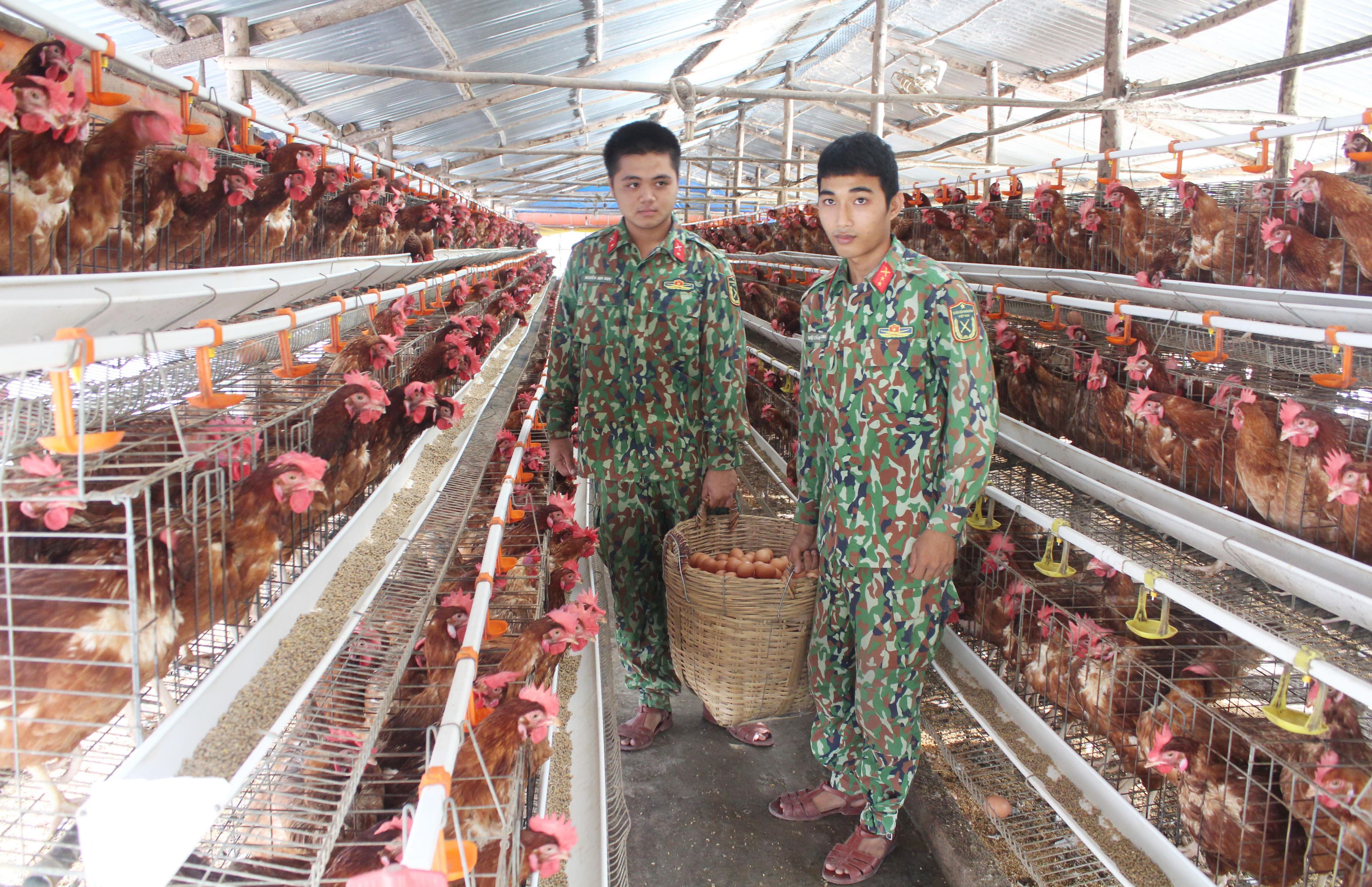 Chủ động nguồn cung hậu cần trong dịp Tết và các nhiệm vụ