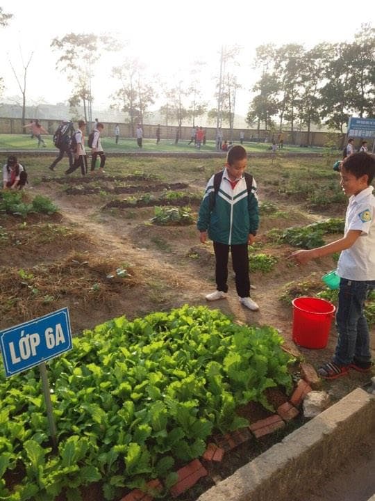 Hiệu quả mô hình “Vườn rau, vườn thuốc Nam của lớp em”