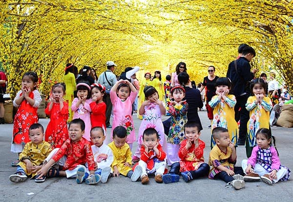 Rộn ràng phố hoa mai đón Tết tại TP Hồ Chí Minh