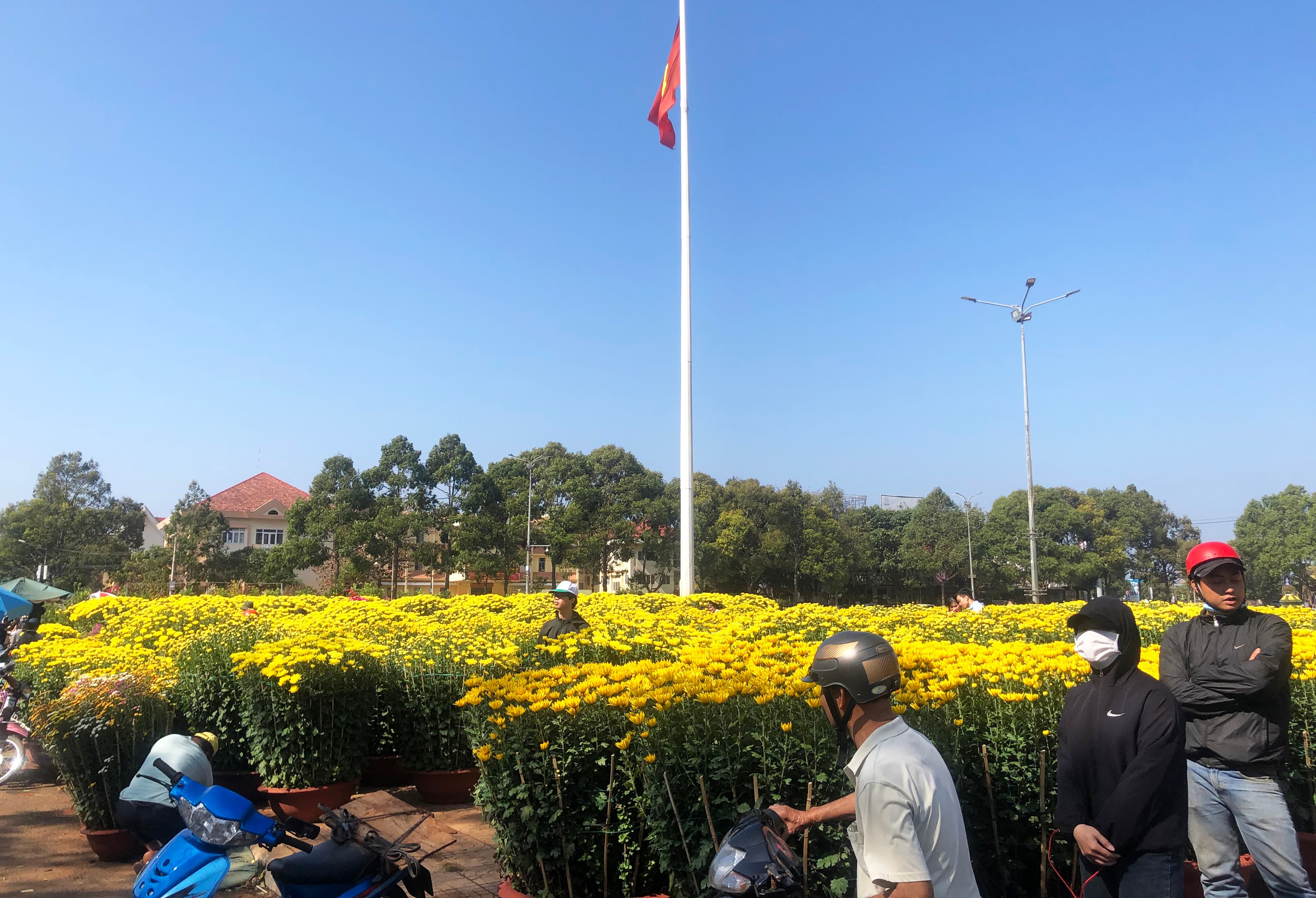 Rực rỡ chợ hoa Xuân Buôn Ma Thuột