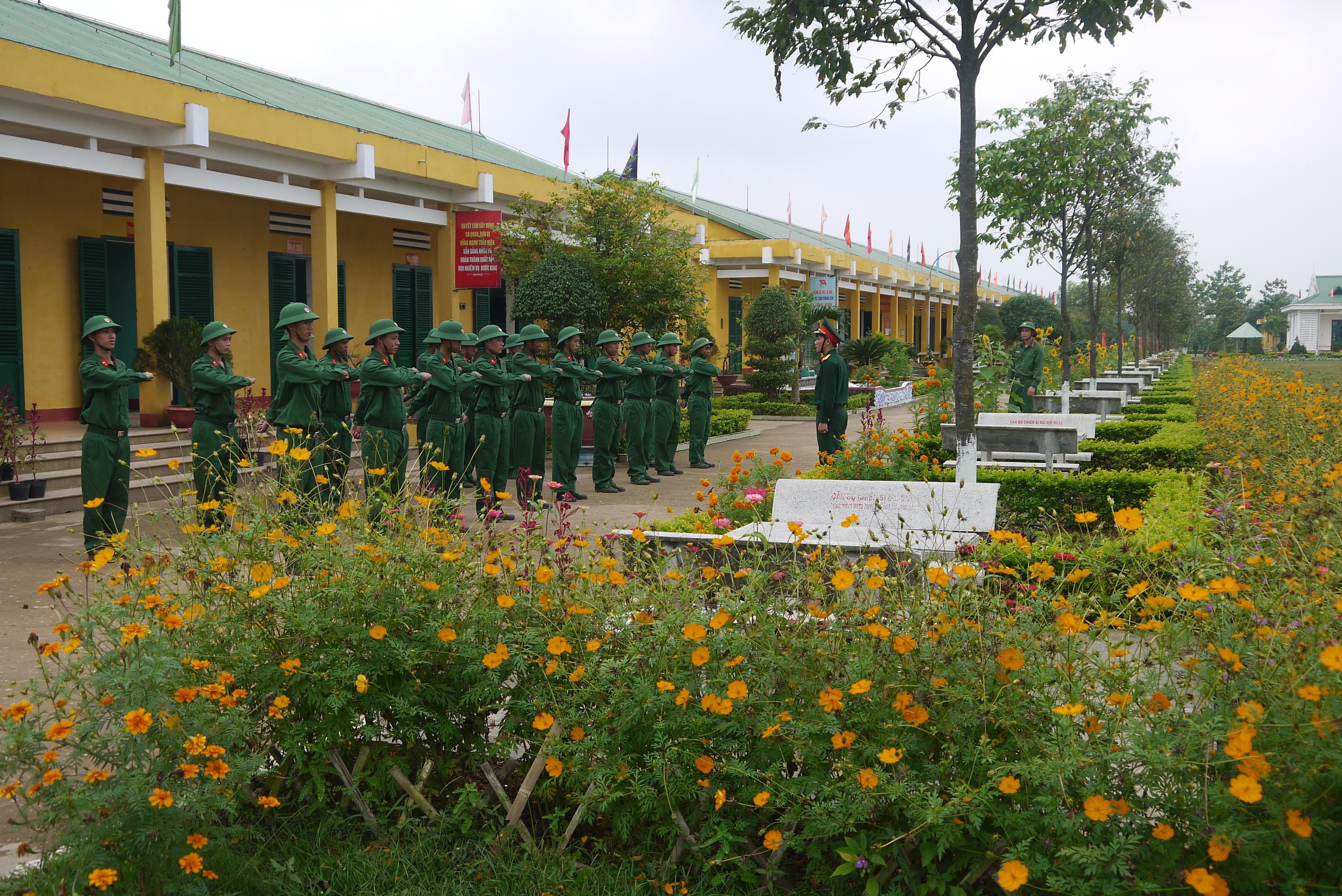Hoa Tết của bộ đội "một bốn ba"