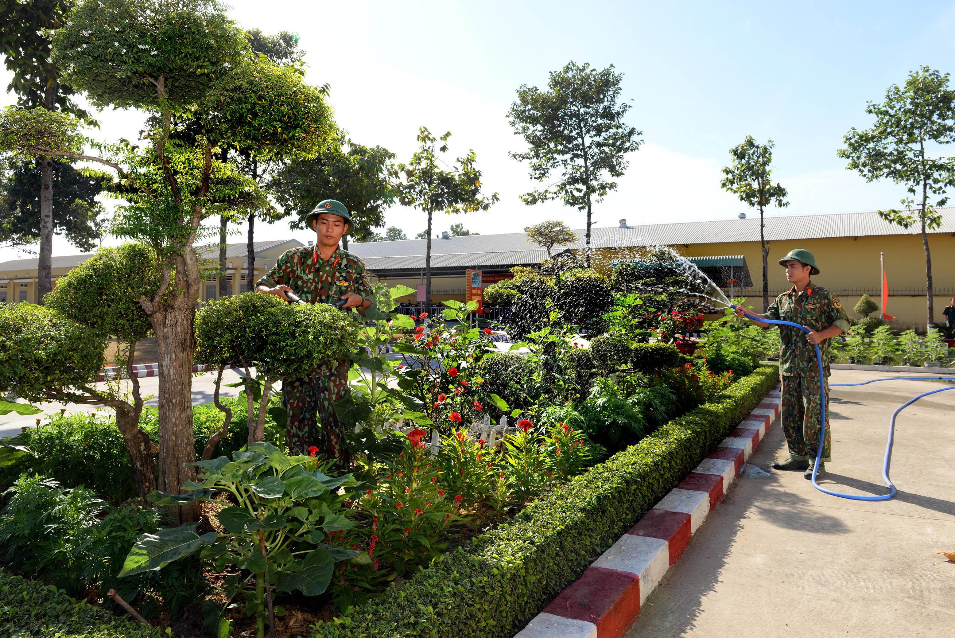 Cho xuân mới thêm vui