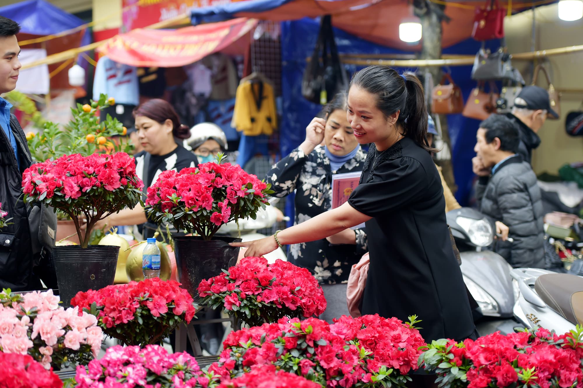 Chợ hoa Hàng Lược ngập tràn sắc xuân