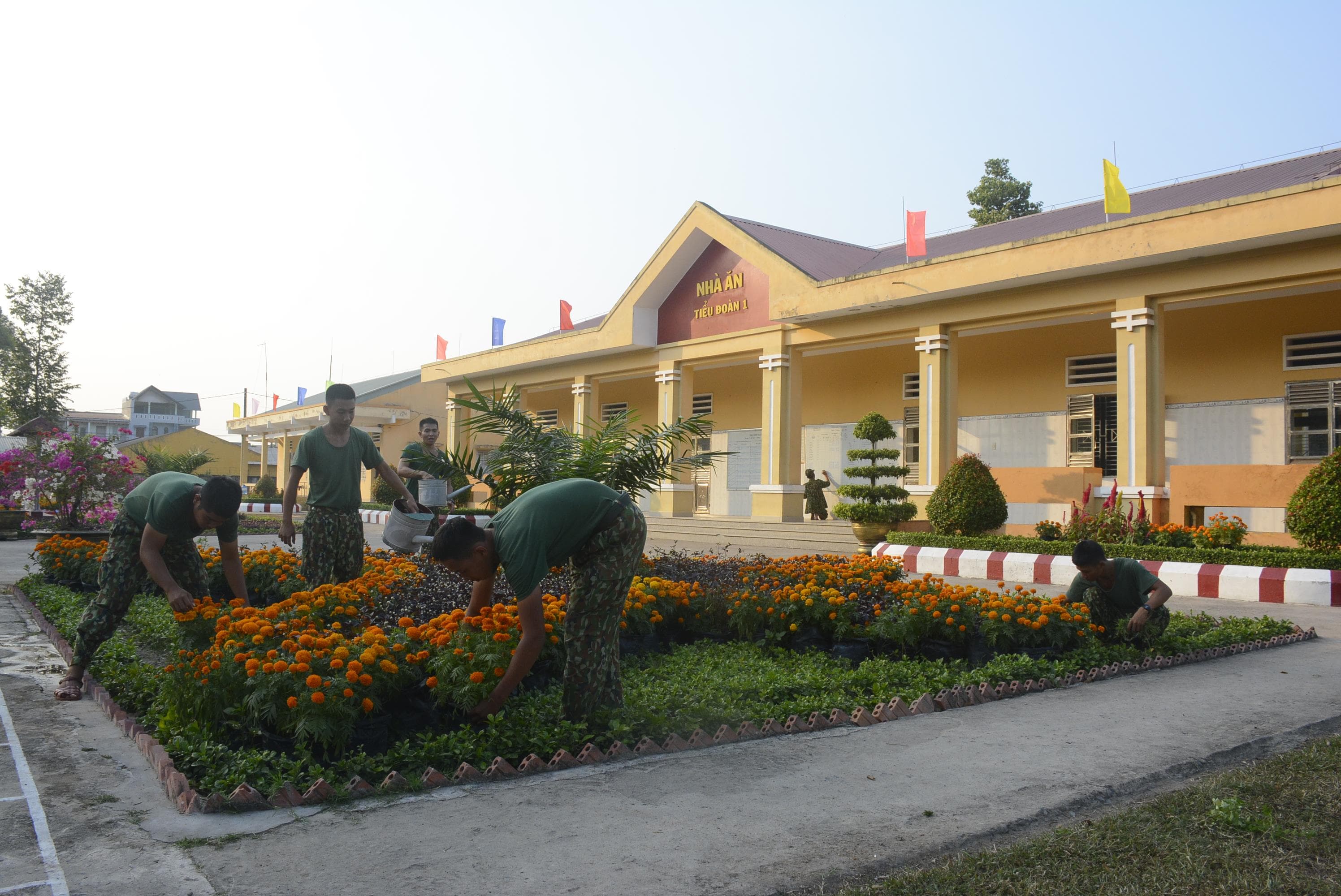 "Tết này, tôi đã trưởng thành hơn"