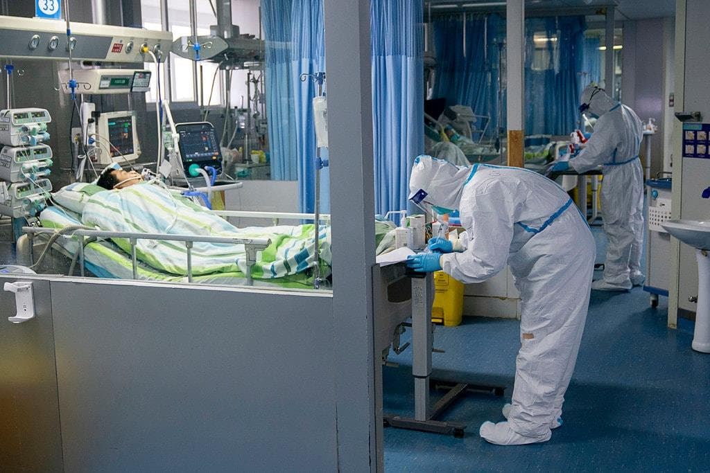 Hai loại virus trong một trận chiến