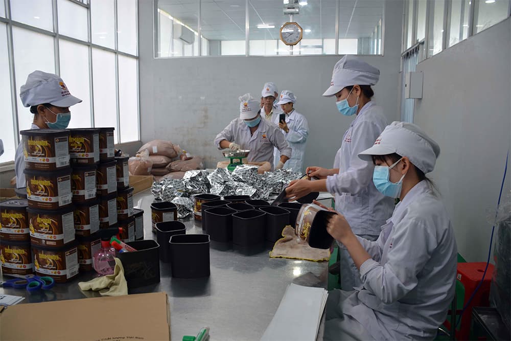 Nông sản Việt - vì sao xuất nhiều, được ít?