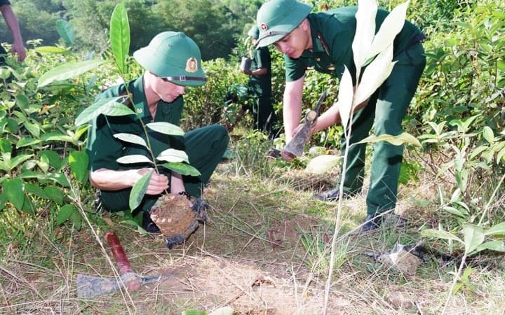 Bộ đội Biên phòng TP Đà Nẵng phát động Tết trồng cây Xuân Canh Tý 2020