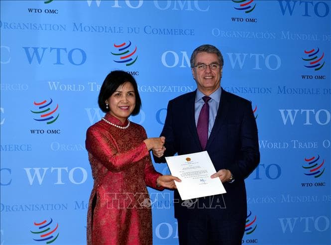 Việt Nam cam kết tiếp tục phối hợp tích cực, chặt chẽ với WTO
