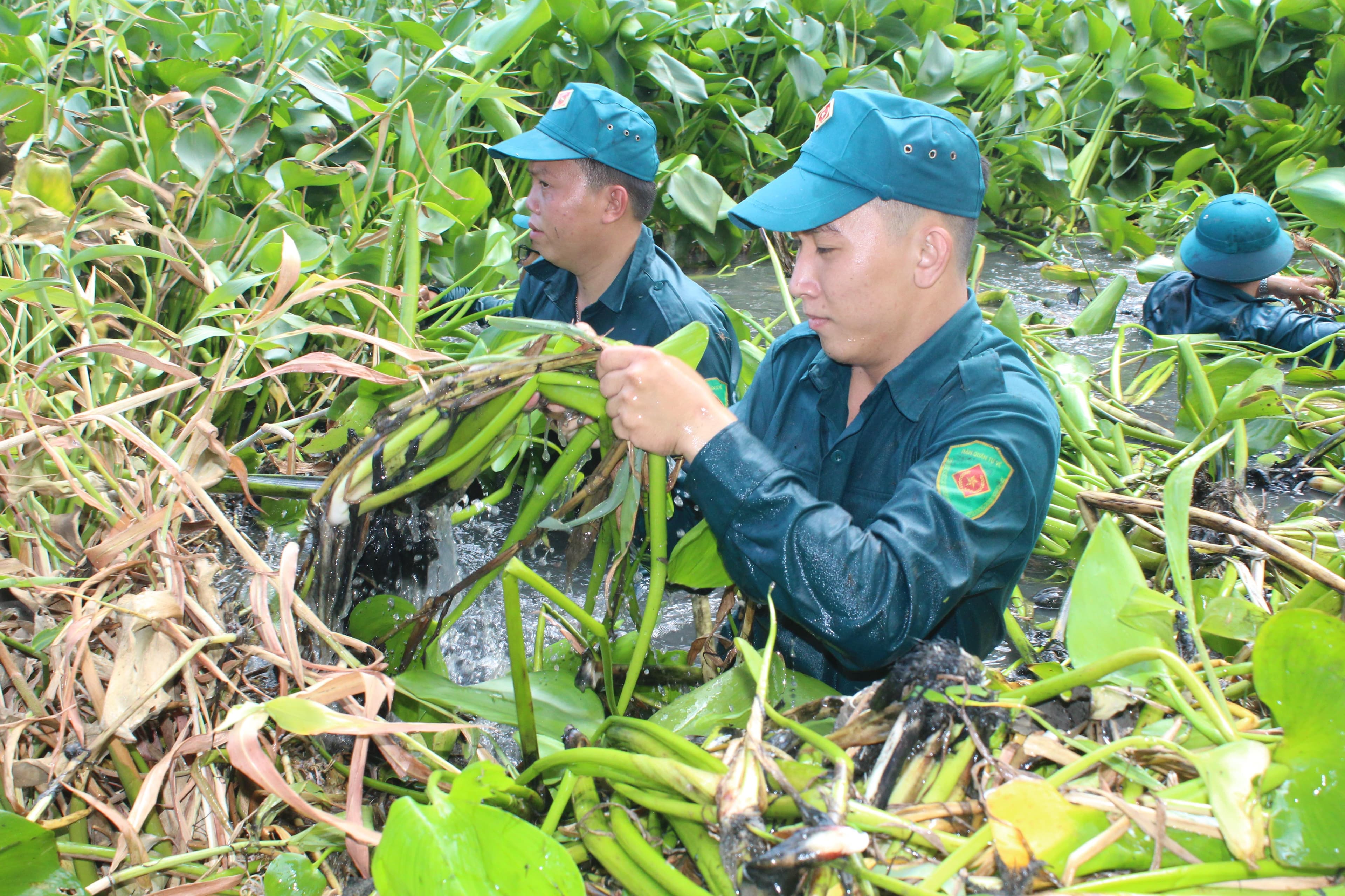 Khẩn cấp các giải pháp chống hạn, mặn
