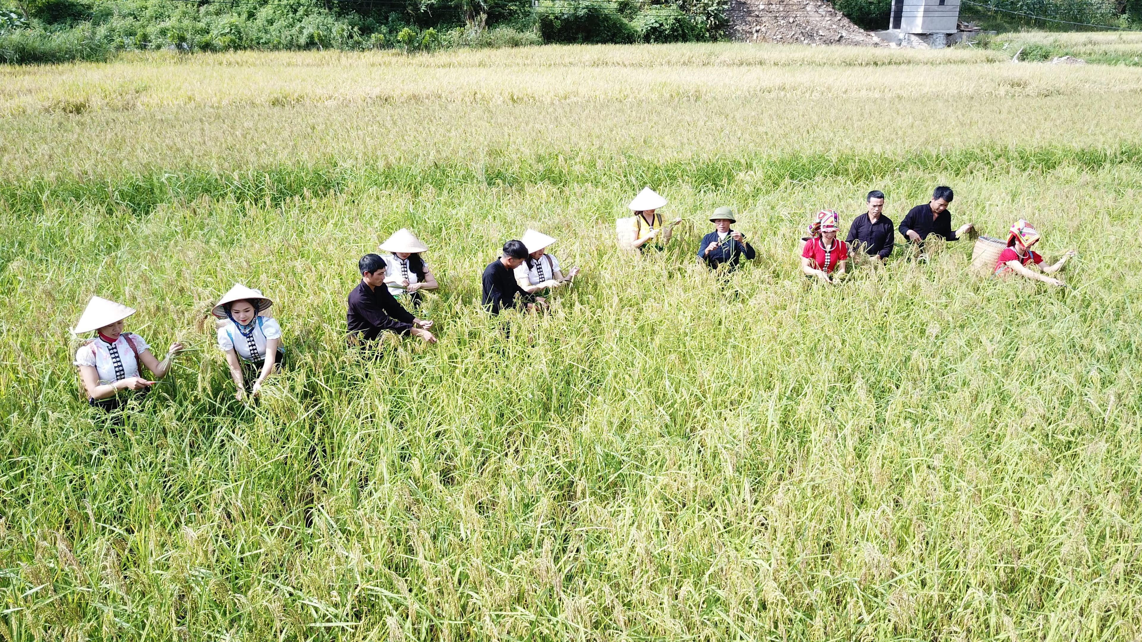 Nơi đất núi chuyển mình