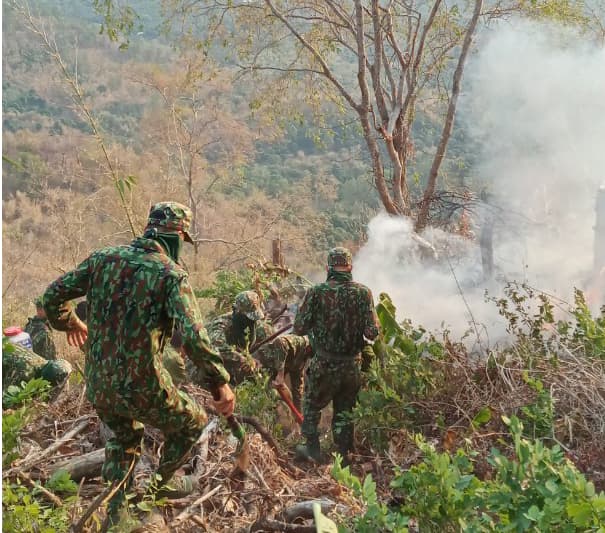 Hơn 200 cán bộ, chiến sĩ Sư đoàn 330 tham gia chữa cháy rừng