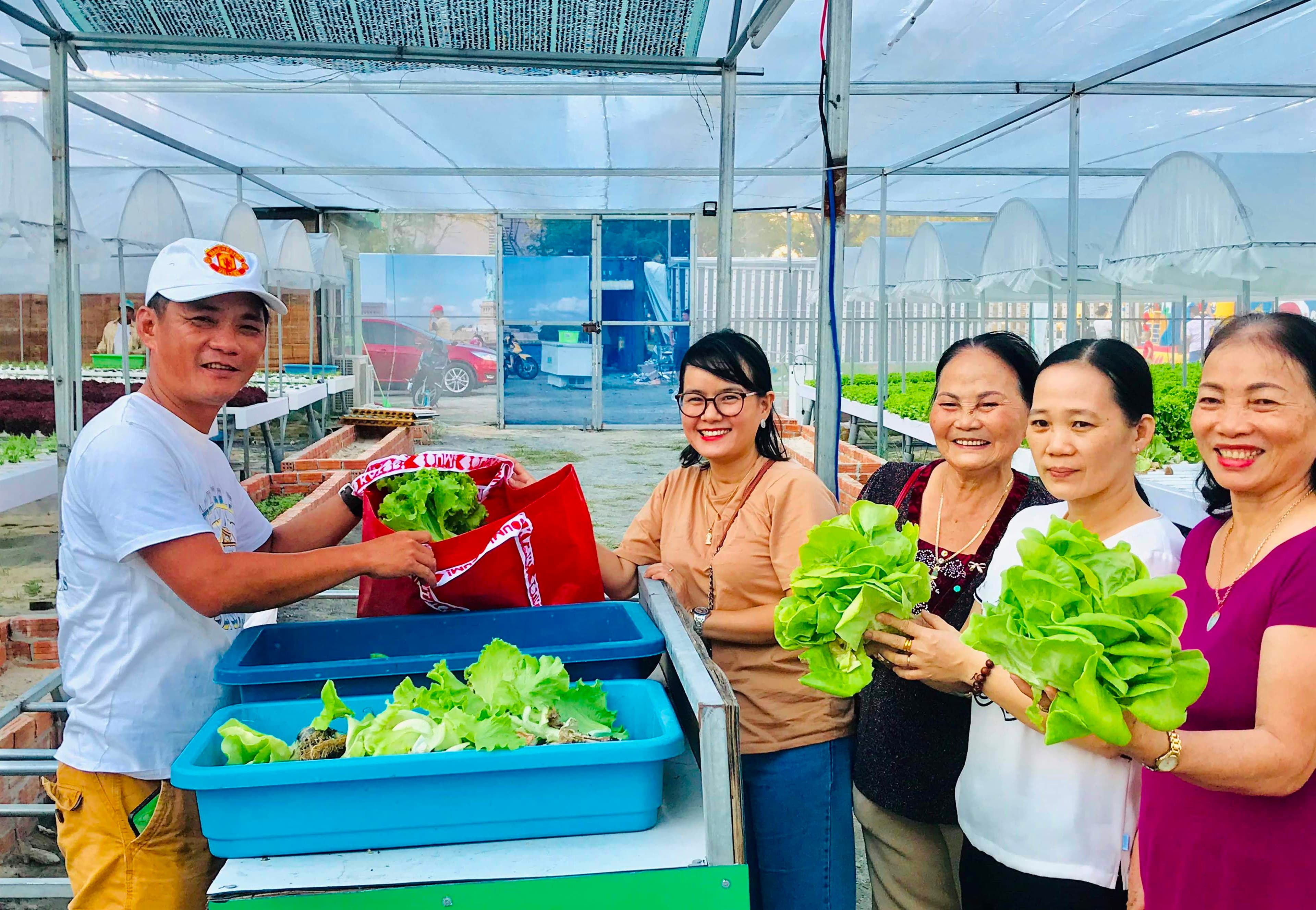 Làm giàu từ mô hình trồng rau thủy canh