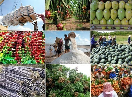 KHƠI THÔNG XUẤT KHẨU NÔNG SẢN