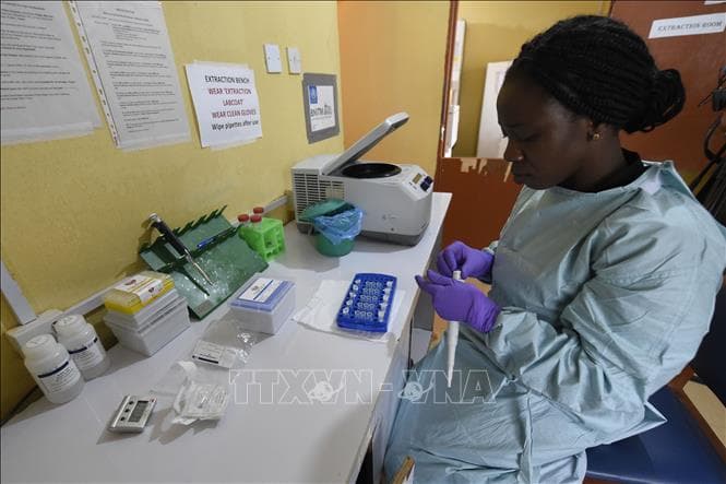 Nigeria: Dịch sốt xuất huyết Lassa khiến 144 người tử vong