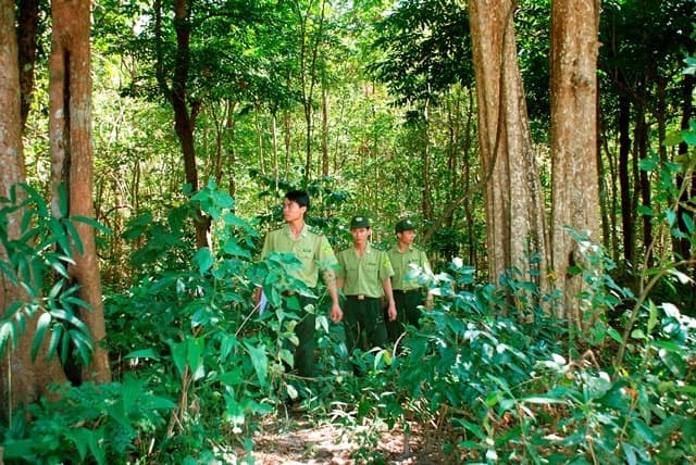 Tăng cường công tác phòng cháy, chữa cháy rừng tại Vườn quốc gia Chư Mom Ray