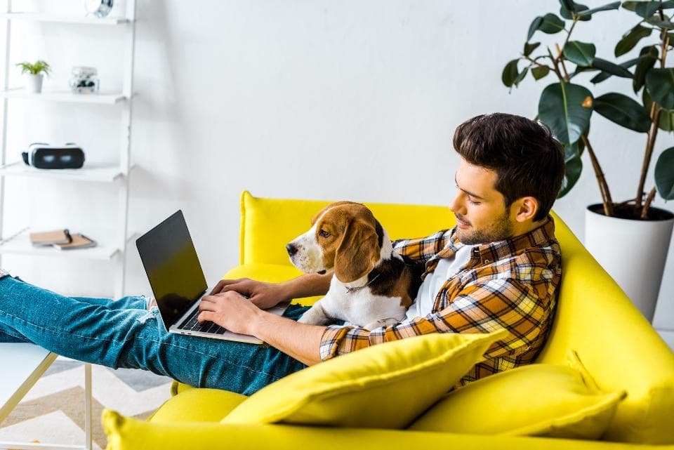 Làm việc online thời Covid-19: Một cách chiến thắng dịch bệnh!