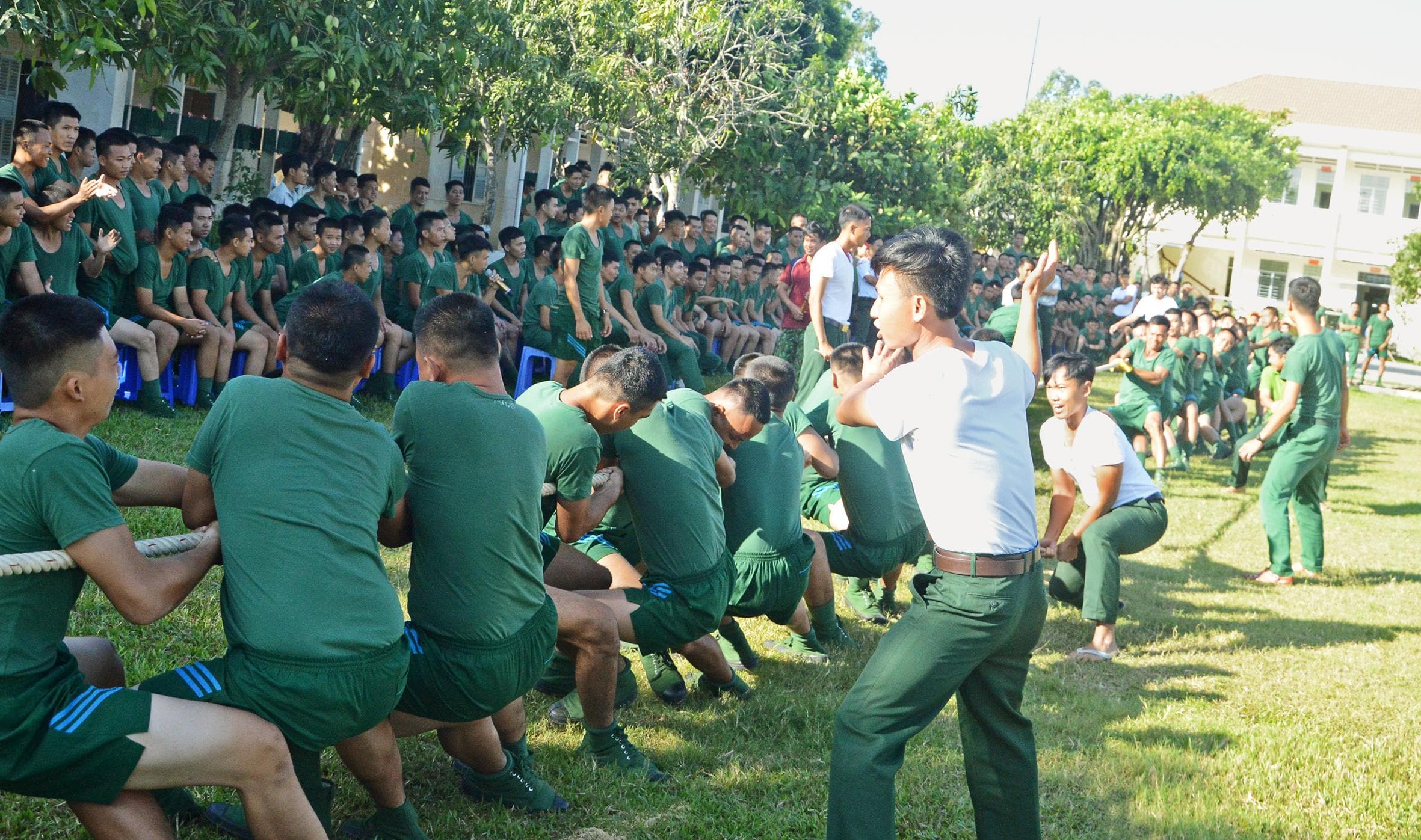 Đơn vị thực sự là nhà