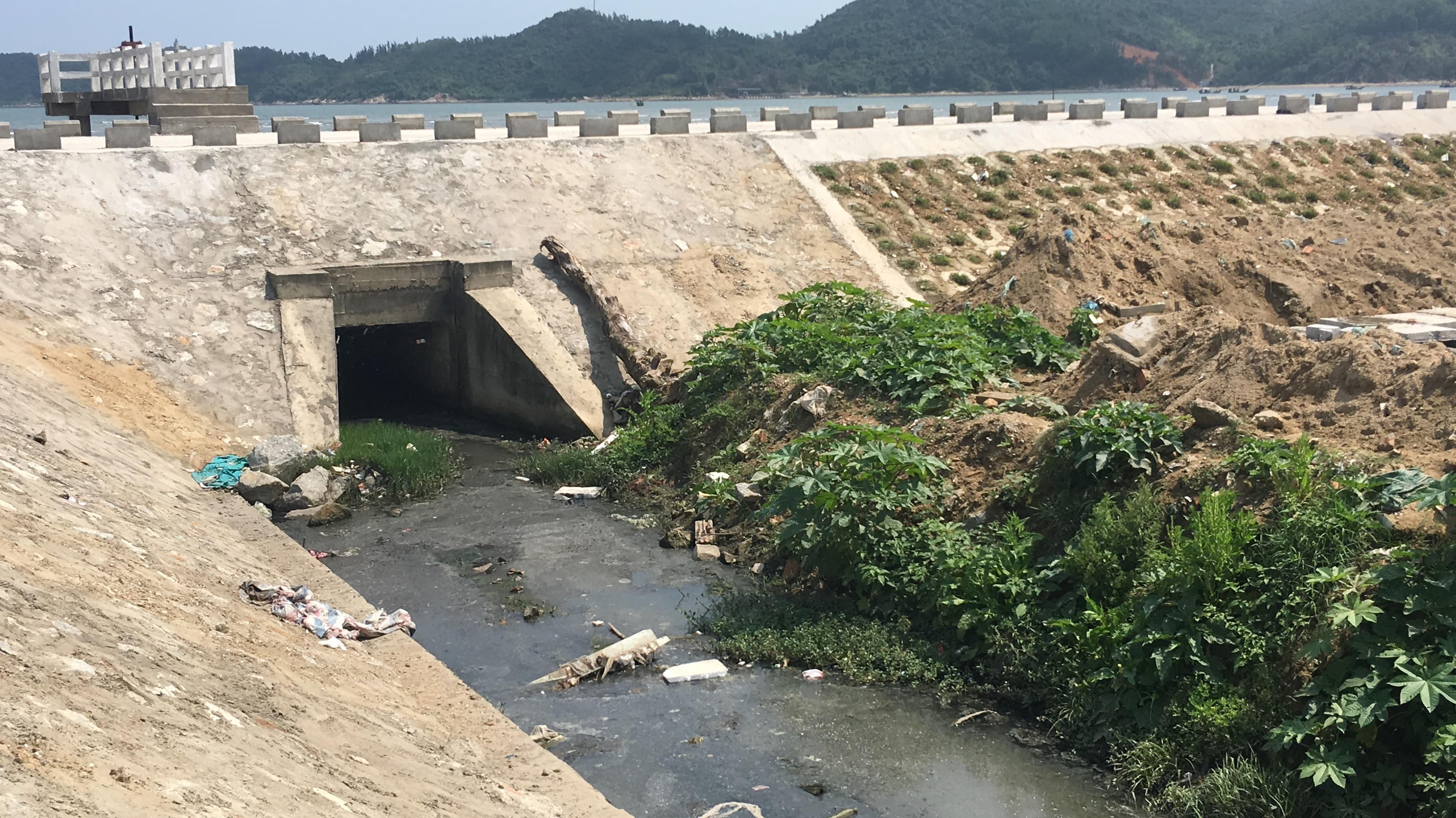 Nước thải sinh hoạt xả trực tiếp ra biển