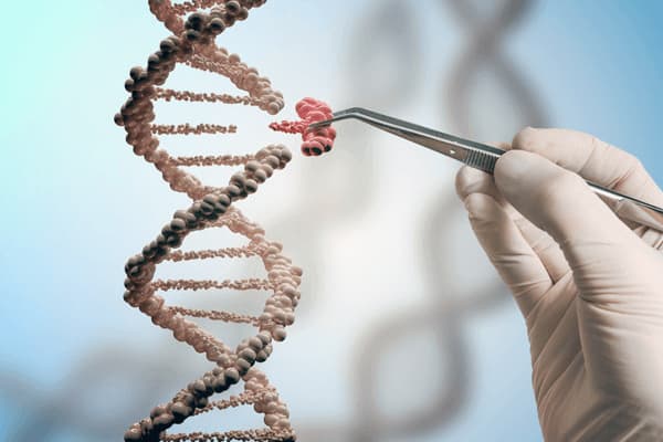 Lần đầu tiên đưa công cụ chỉnh sửa gene Crispr vào cơ thể