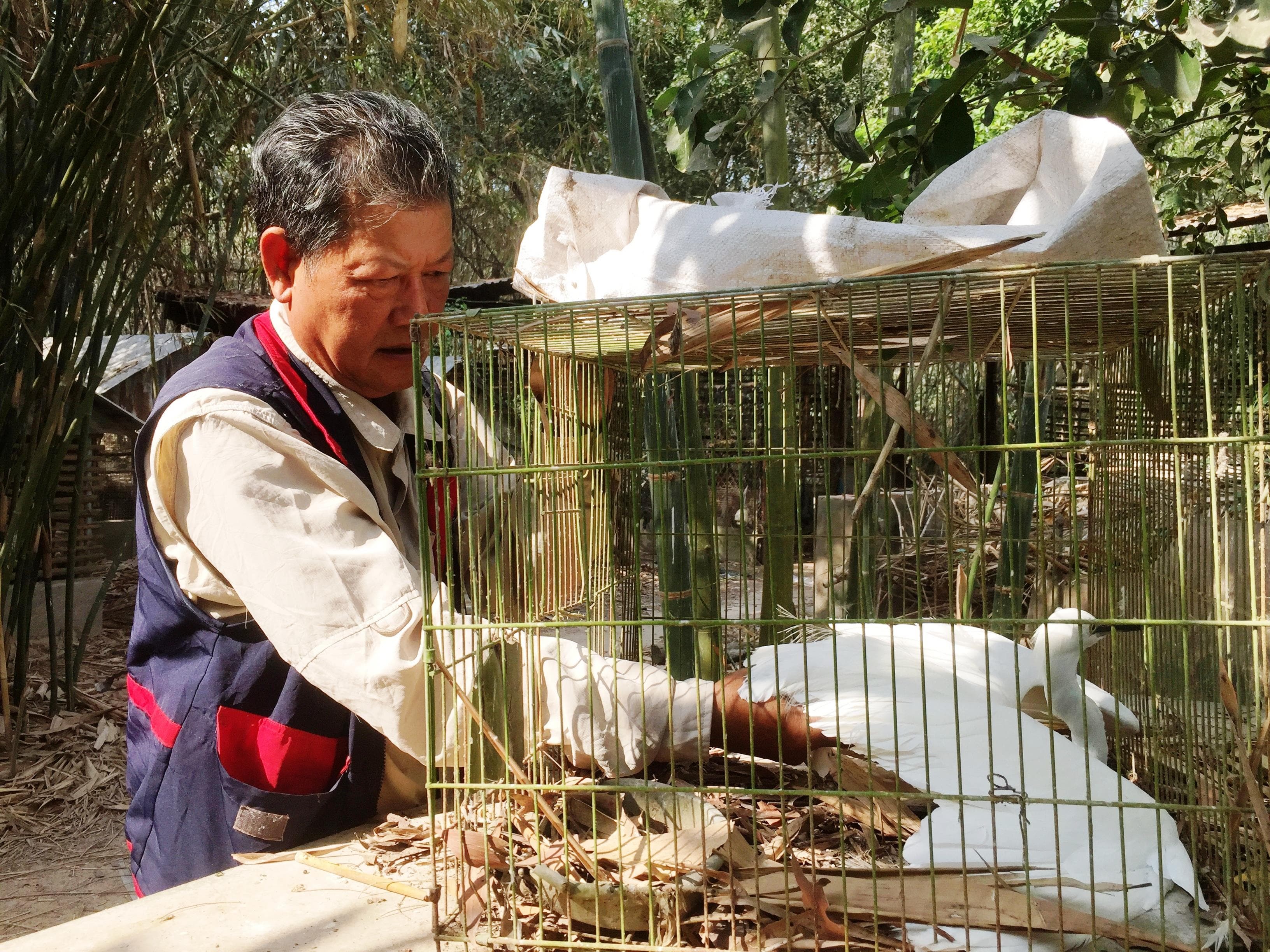 Cựu chiến binh hơn 20 năm bảo vệ chim trời