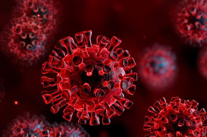Virus SARS-CoV-2 không diễn tiến đột biến nhanh