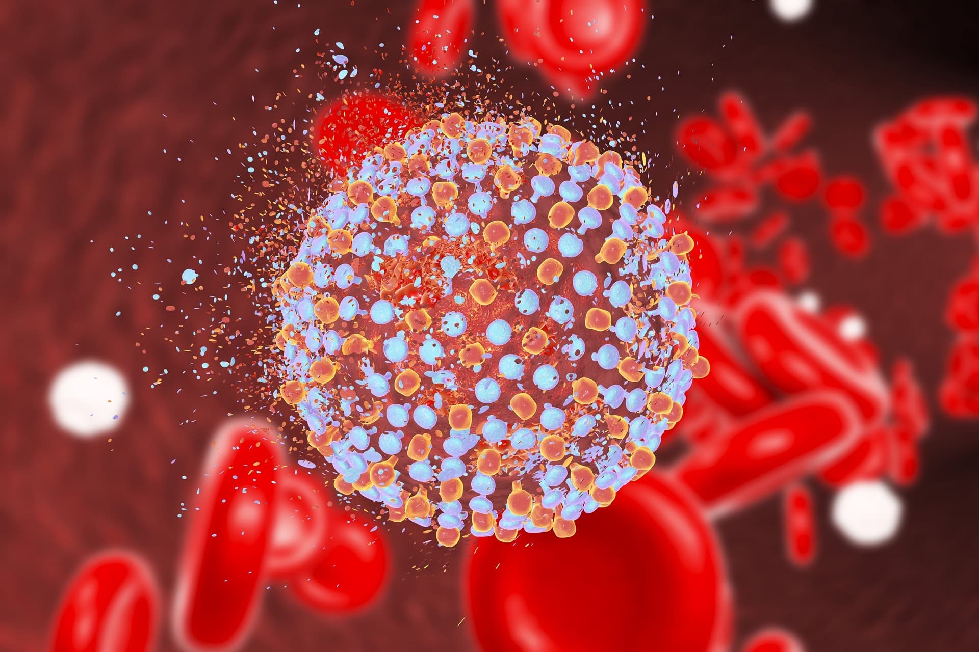 Virus vẫn tồn tại trong chất thải của người bệnh Covid-19 dù đã âm tính