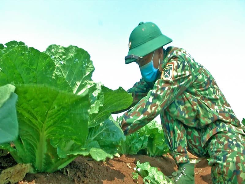 Khai thác hiệu quả nguồn lực hậu cần tại chỗ