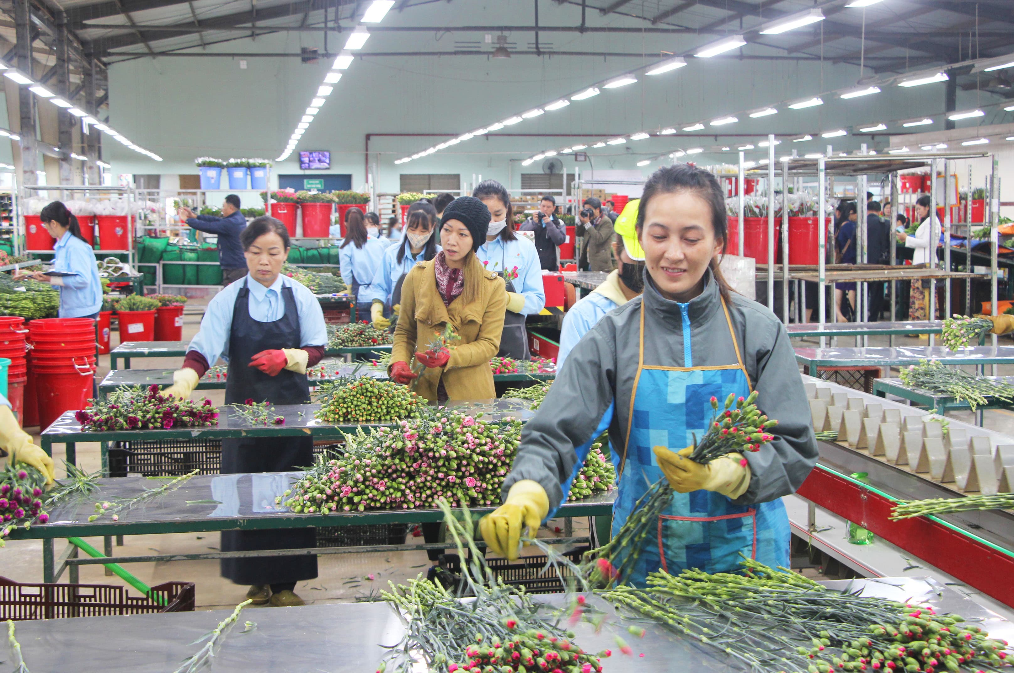 Tái cơ cấu để ứng phó rủi ro, phát triển bền vững